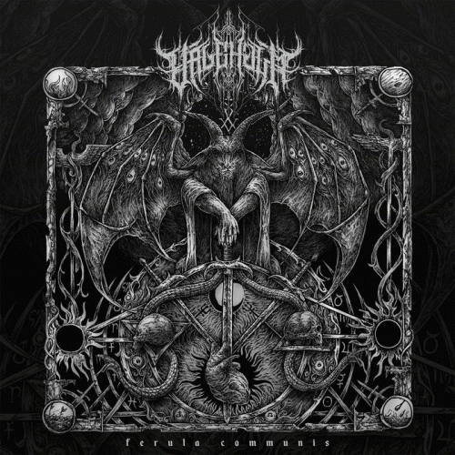 Valeholm : Ferula Communis